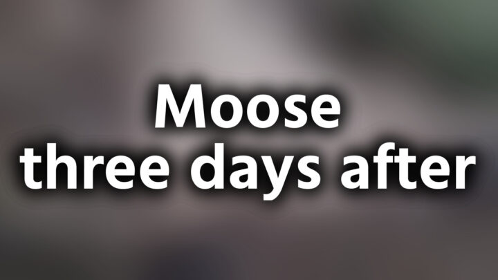 「Moose three days after」という影付きの白文字が、ぼかされた動画のスクリーンショットの上に書かれているアイキャッチ。