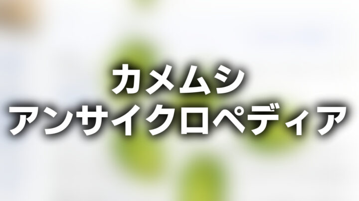 「カメムシ アンサイクロペディア」という影付きの白文字が、ぼかされたサイトのスクリーンショットの上に書かれているアイキャッチ。