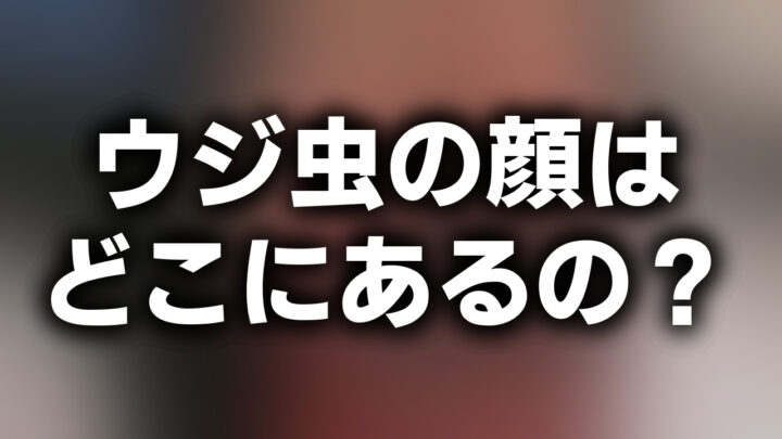 「ウジ虫の顔はどこにあるの？」という影付きの白文字が、ぼかされた写真の上に書かれているアイキャッチ。