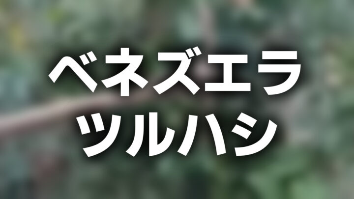 「ベネズエラ ツルハシ」という影付きの白文字が、草原とツルハシのぼかされた写真の上に書かれているアイキャッチ。