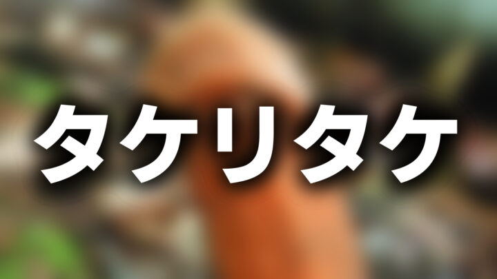「タケリタケ」と書かれた影付きの白文字が、ぼかされたキノコの写真の上に書かれているアイキャッチ。